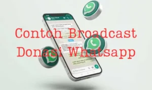 contoh-broadcast-donasi-whatsapp